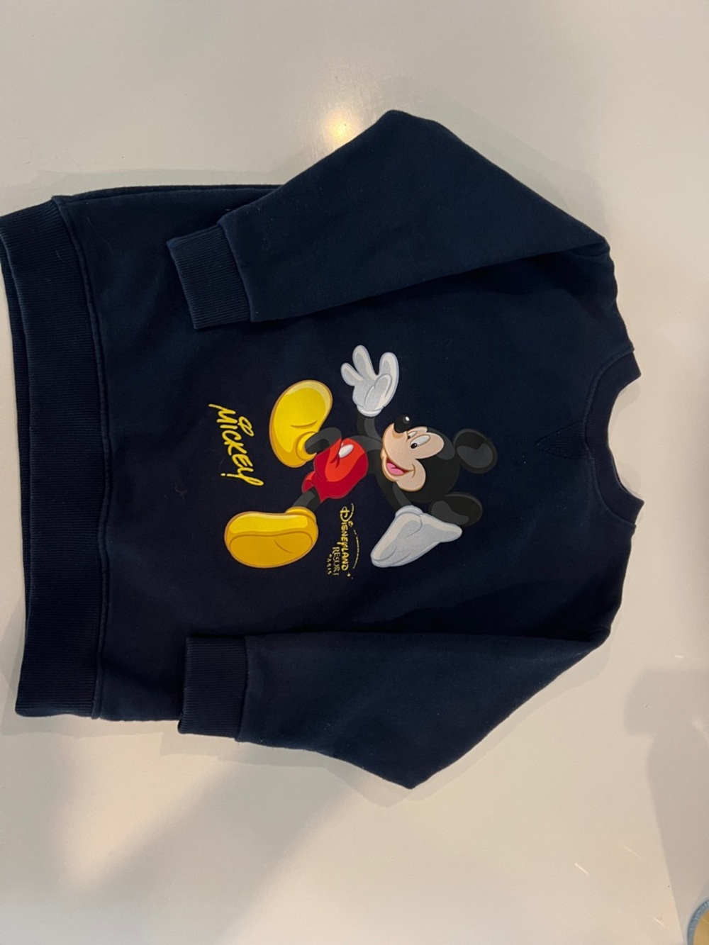 Disney Resort Paris Navy Sweatshirt with Mickey Mouse Graphic and Yellow Accents